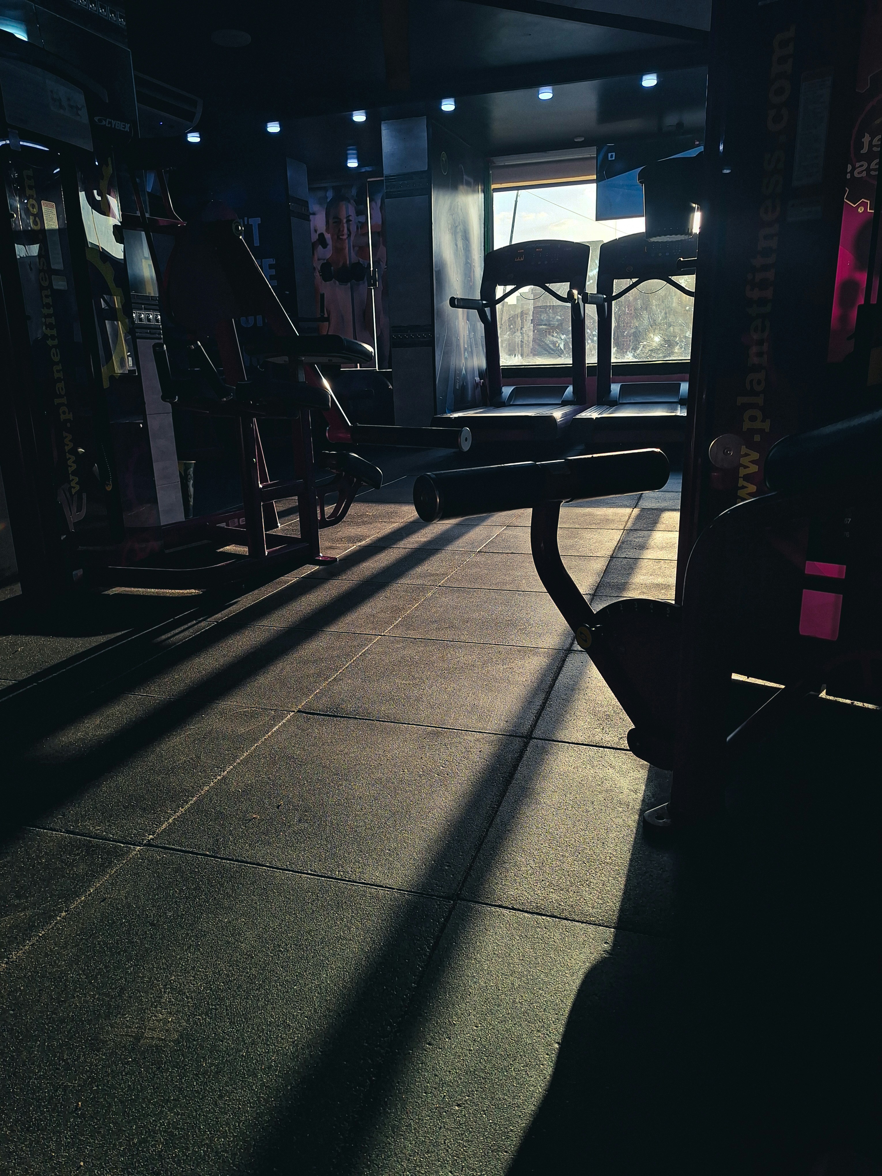 Gym interior with cardio equipment